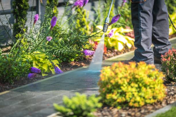 Best Parking Lot and Garage Cleaning  in Wichita Falls, TX